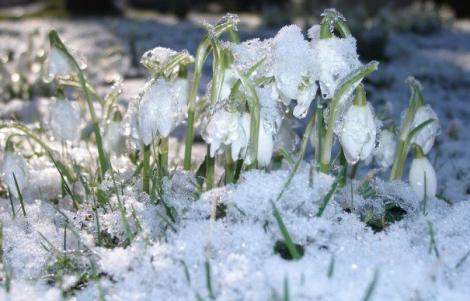 Prognoza meteo pentru intervalul 28 ianuarie-10 februarie. Vremea se încălzește brusc