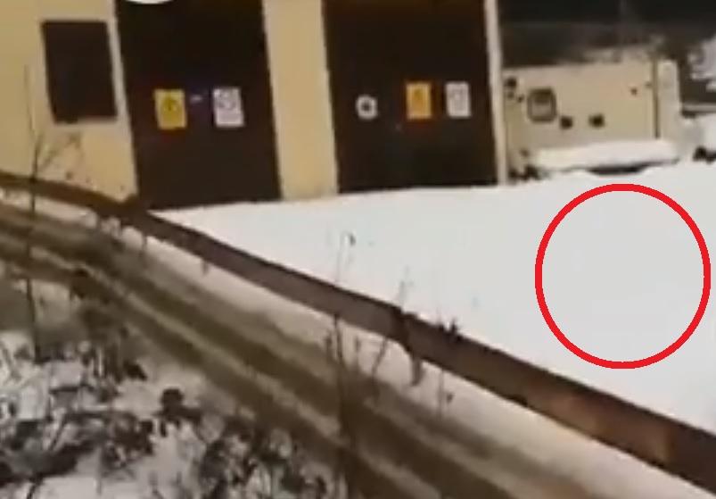 Apariție neobișnuită &icirc;n Bușteni! Martorii au &icirc;ncremenit c&acirc;nd au văzut minunea din fața ochilor! (VIDEO)