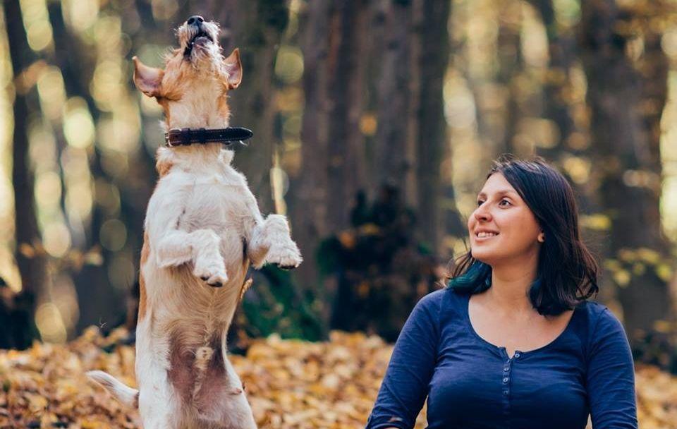 O t&acirc;nără din Cluj a găsit o metodă foarte ingenioasă care să-i determine pe oameni să adopte animalele fără stăp&acirc;n