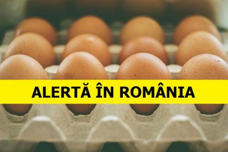 Ouă contaminate în România! Inspectorii sanitari au făcut o descoperire șocantă