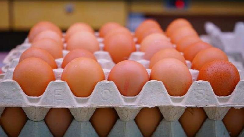 Ouă contaminate în România! Inspectorii sanitari au făcut o descoperire șocantă