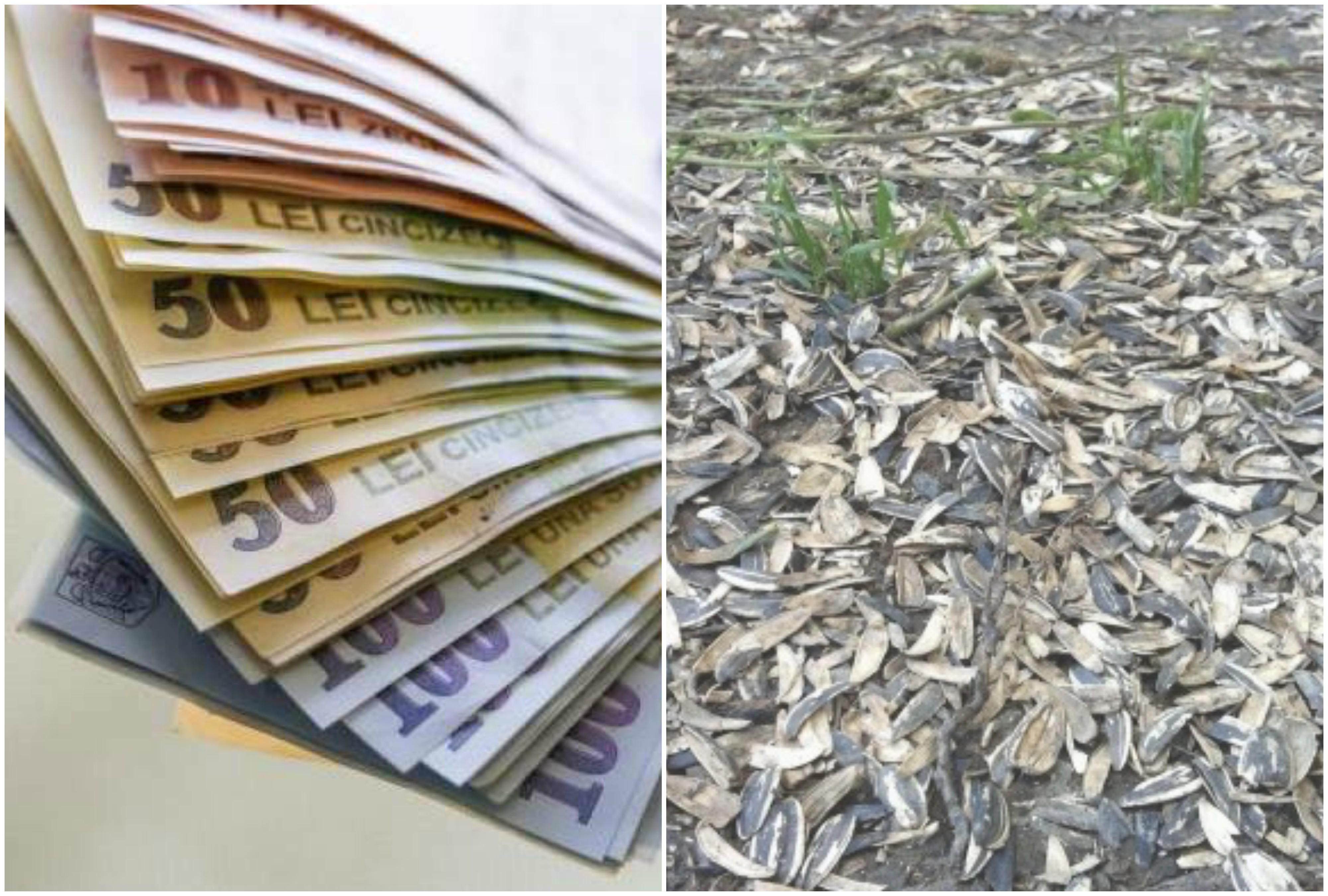 Amendă uriașă pentru un t&acirc;năr care a scuipat coji de semințe pe jos, &icirc;n Arad! C&acirc;ți bani va fi nevoit să scoată din portofel