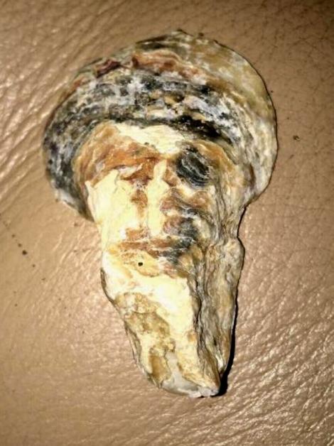 O scoică care seamănă cu fața unuia dintre cei mai cunoscuți teroriști din lume a fost găsită în Marea Britanie. Asemănarea este izbitoare