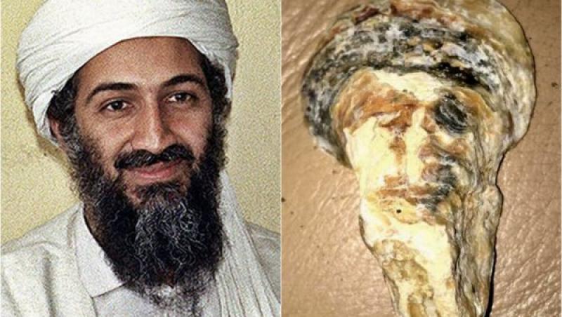 O scoică care seamănă cu fața unuia dintre cei mai cunoscuți teroriști din lume a fost găsită în Marea Britanie. Asemănarea este izbitoare