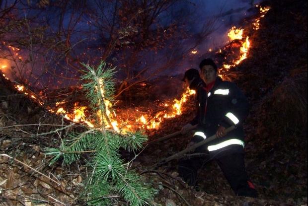 Și-a găsit sf&acirc;rșitul &icirc;ntr-un incendiu de vegetație uscată! O femeie de 81 de ani a murit cuprinsă de flăcări