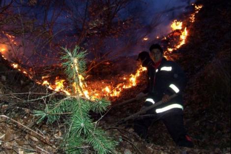 Și-a găsit sfârșitul într-un incendiu de vegetație uscată! O femeie de 81 de ani a murit cuprinsă de flăcări