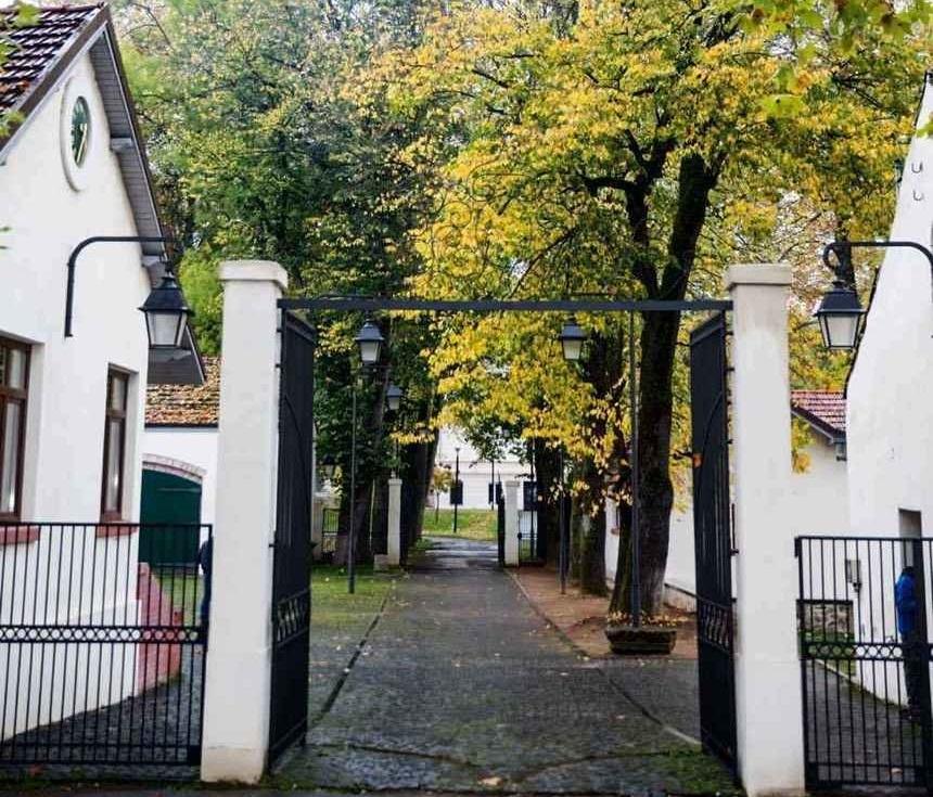 Strada din faţa domeniului regal de la Săv&acirc;rşin va fi numită "Regina-Mamă Elena"