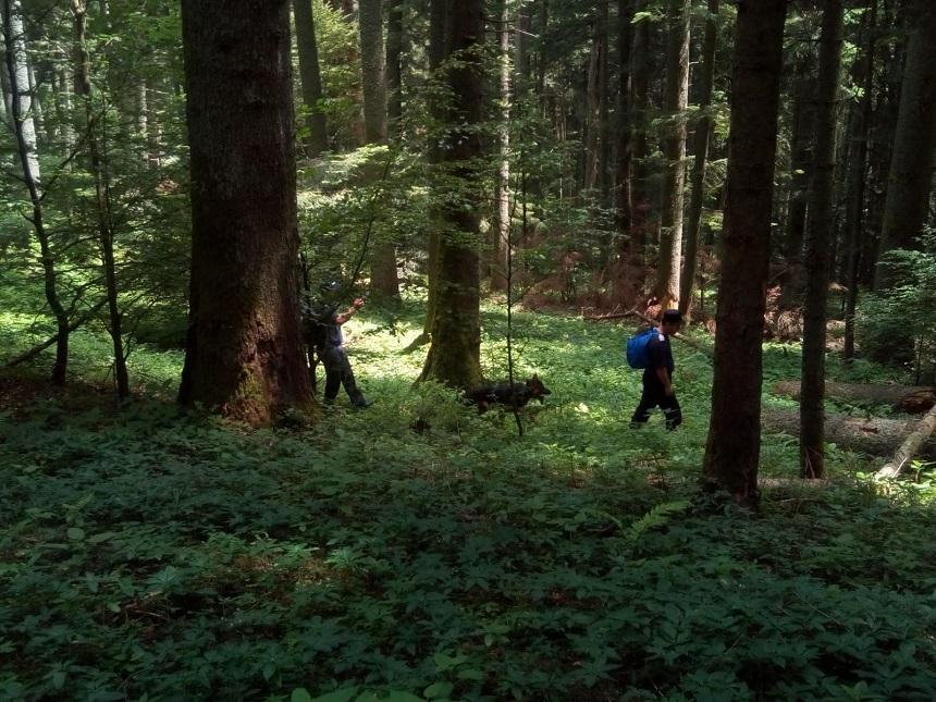 Vrancea: Bărbatul dispărut &icirc;n pădure şi căutat de zeci de persoane a fost găsit decedat