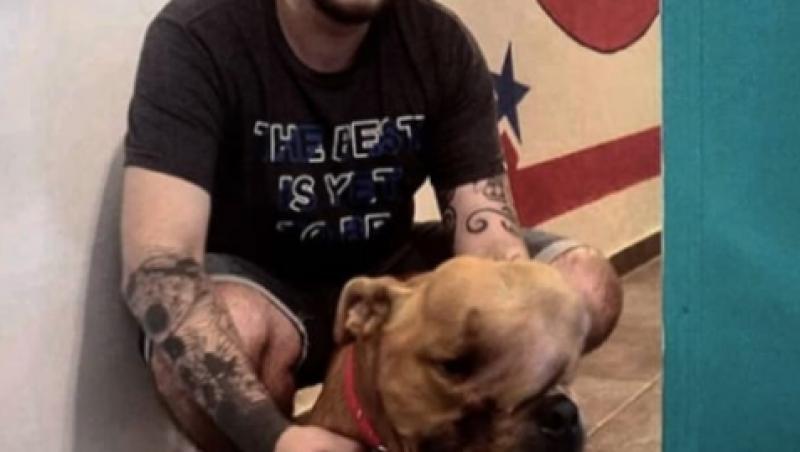 A adoptat un câine malformat și bolnav de cancer pe care l-au respins toți: 