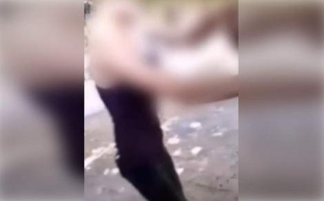Trasă de păr și lovită, în văzul tuturor! O copilă a fost snopită în bătaie de mai multe fete, într-un parc din Târgoviște: „Gândiți-vă bine, fata asta nu e singură!”