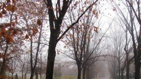 Vremea 21 octombrie 2019. Temperaturi neobișnuite, ceață și burniță