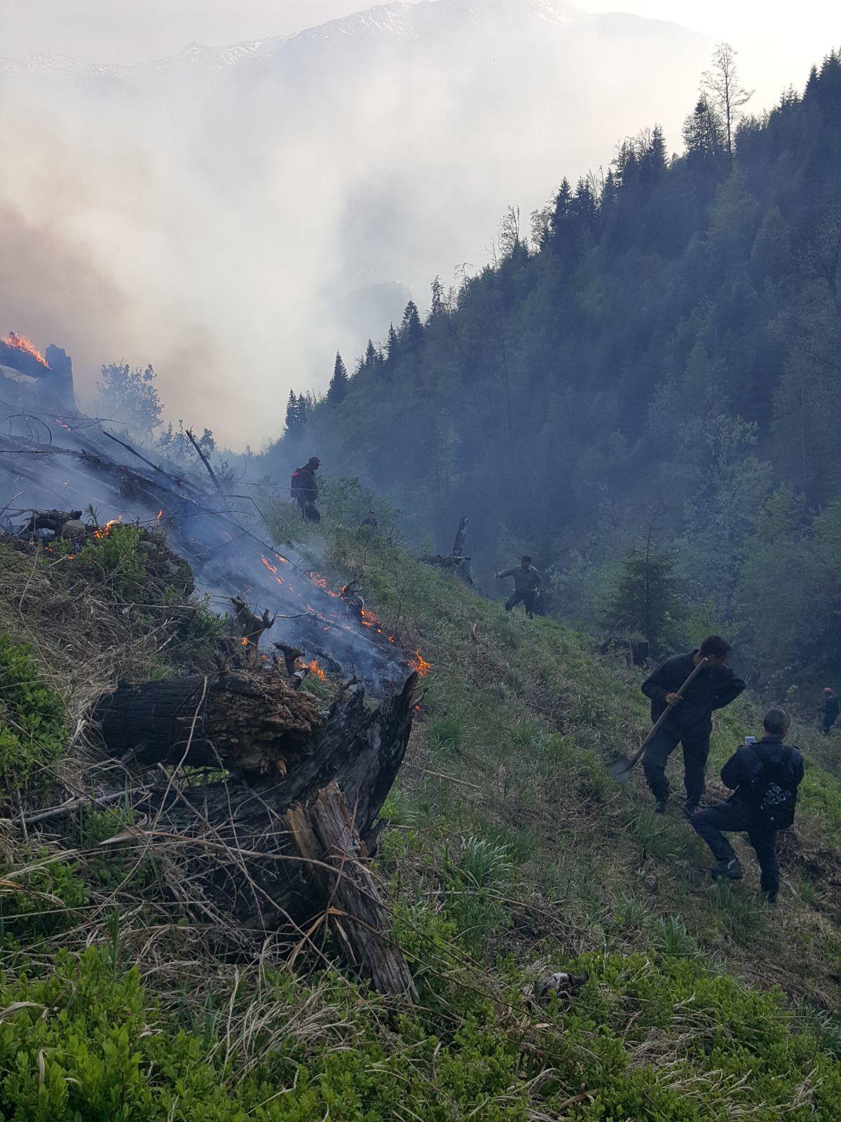 Două incendii de pădure, &icirc;n judeţul Hunedoara; &icirc;n total, sunt afectate aproximativ 20 de hectare de pădure