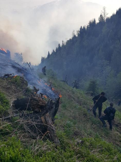 Două incendii de pădure, în judeţul Hunedoara; în total, sunt afectate aproximativ 20 de hectare de pădure