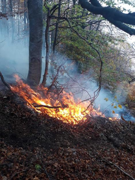 Incendiile de pădure din Hunedoara, în continuare active; unul dinte ele s-a extins în judeţul Alba, în zonă fiind trimis un avion Spartan - FOTO, VIDEO