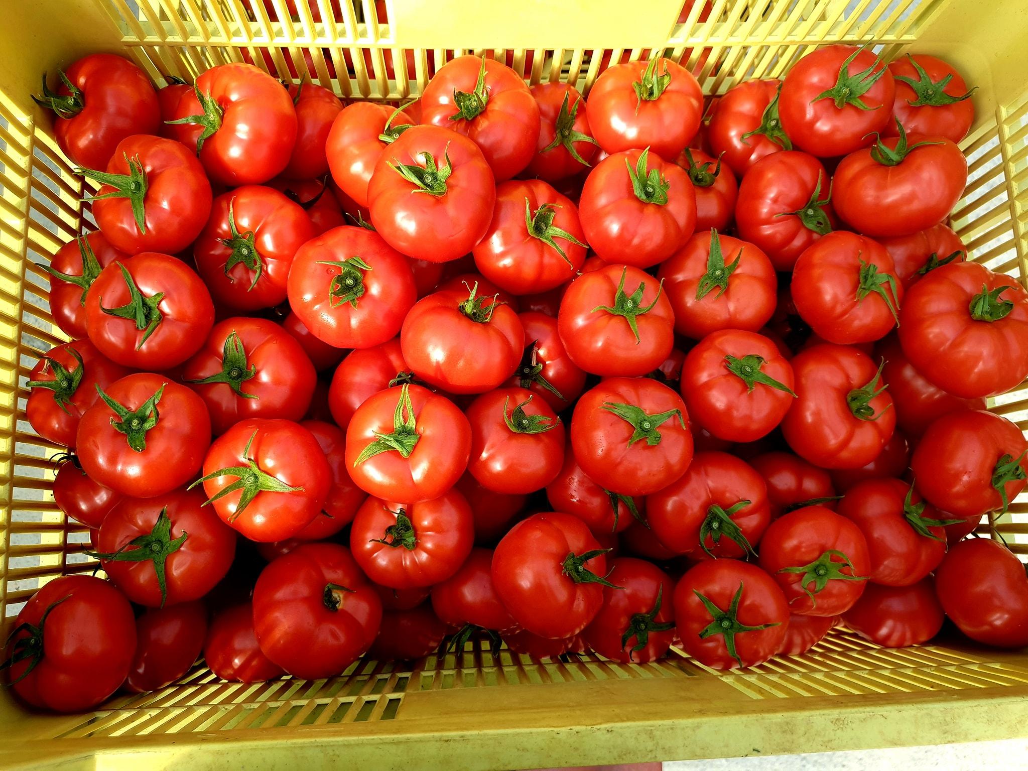 Roșia rom&acirc;nească cucerește piața bulgărească. Rom&acirc;nia exportă masiv &icirc;n afară