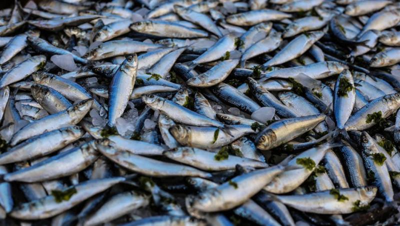Peştele românesc a devenit o marfă rară! 80% din peştele pe care îl mâncăm este importat și congelat