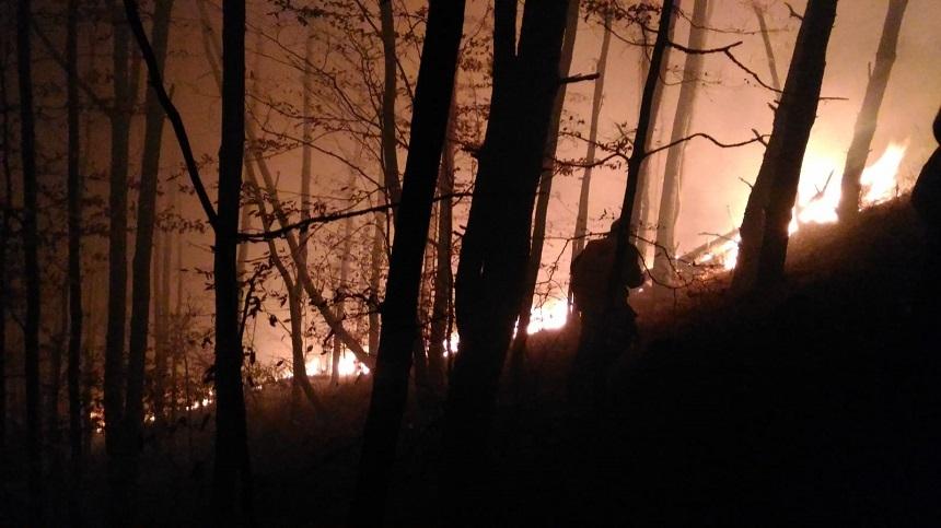 Sibiu: Incendiu de pădure &icirc;n zona Măgura, din apropiere de Cisnădie