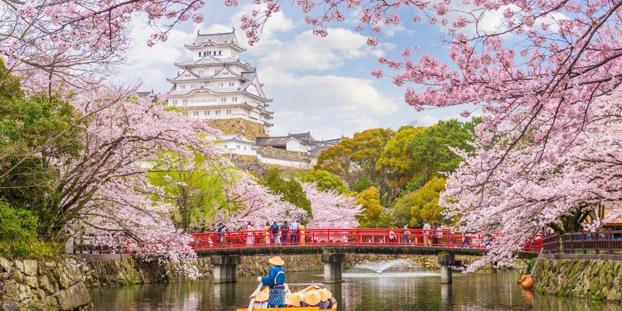 Virusuri mortale &icirc;n Țara Soarelui Răsare. Cum a ajuns Ebola &icirc;n Japonia