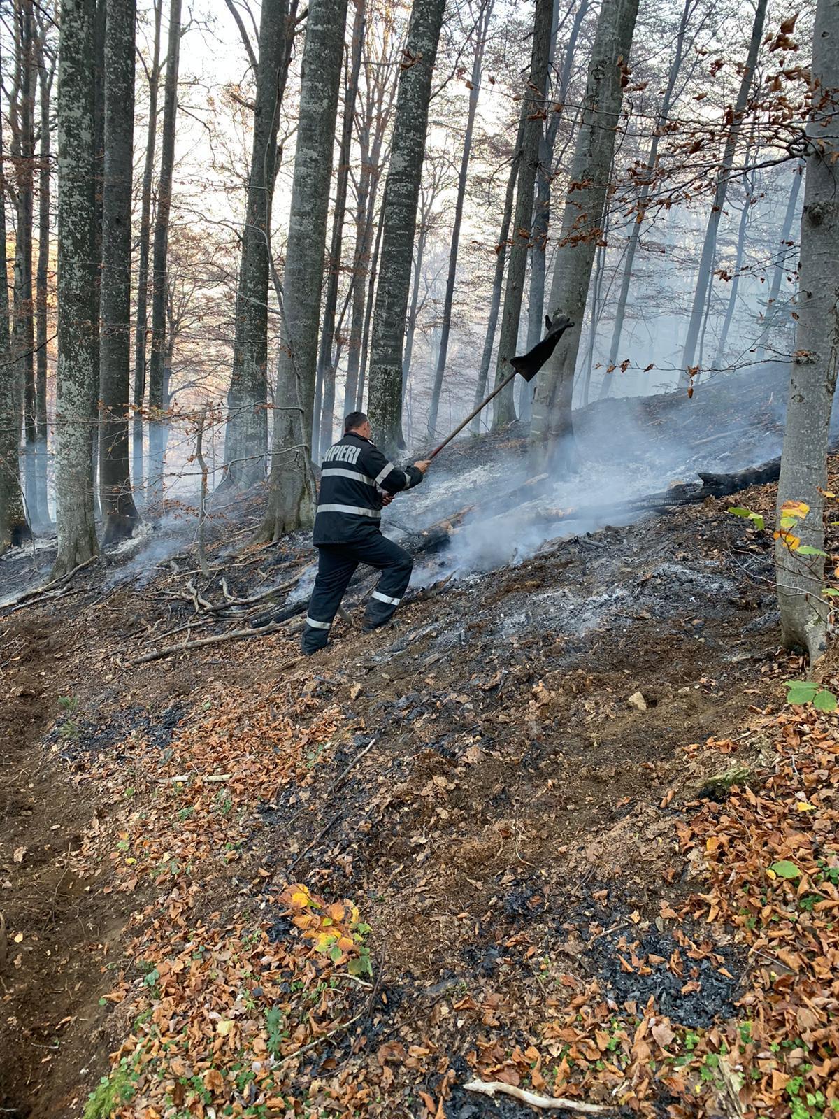 Caraş-Severin: Incendii la fondul forestier, &icirc;n zonele Cornereva şi Rusca Teregova; misiunea este extrem de dificilă, pompierii fiind nevoiţi să străbată distanţe mari pe jos/ La Rusca Teregova au fost deja afectate 18 hectare