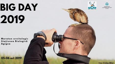 Maraton Ornitologic în Dobrogea - Peste 50 de observatori de păsări din România, la Agigea pentru a înregistra pelicani, piţigoi şi bufniţe