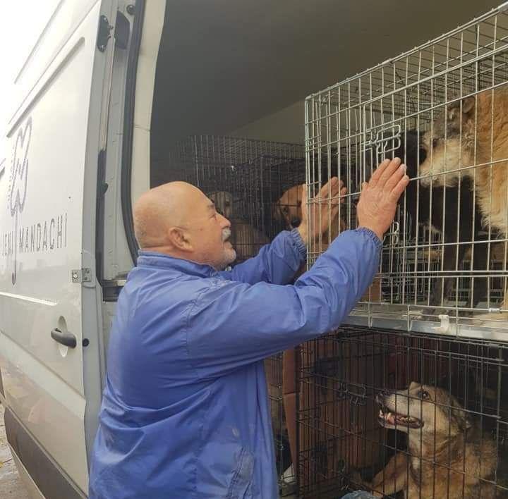 Pe cine sensibilizează? Bărbatul &icirc;și jelește cele 850 de suflete care &icirc;i sunt luate cu forța după ce le-a salvat de la moarte și le-a crescut. Pe m&acirc;inile cui vor ajunge?