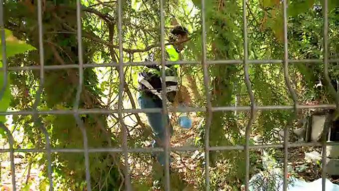 Doi tineri au găsit un cadavru &icirc;n spatele unui gard din Constanța: &ldquo;S-a simţit un miros foarte puternic. Am crezut că sunt nişte animale ceva moarte&rdquo;