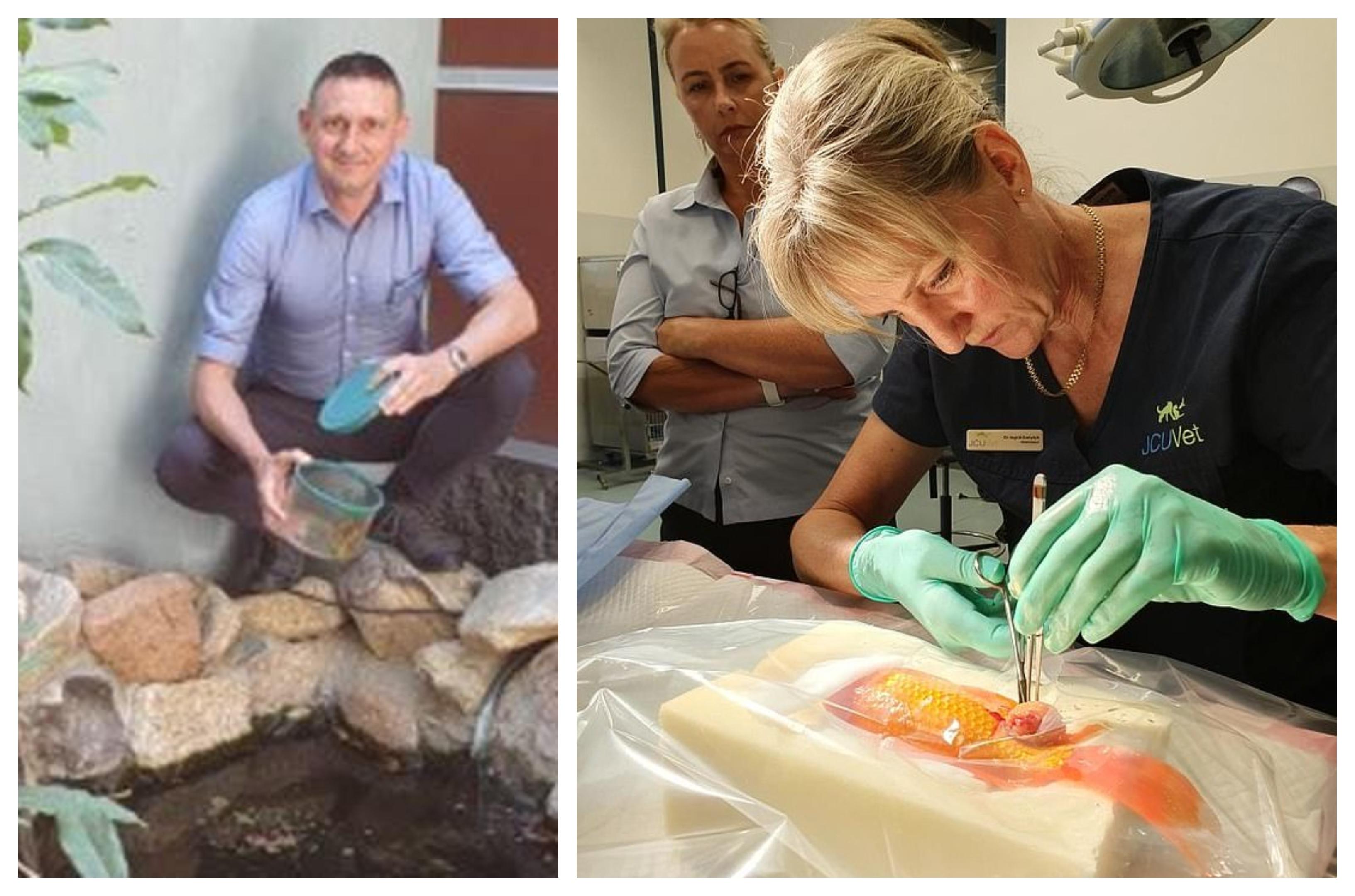 A cheltuit sute de dolari ca să &icirc;și opereze peștișorul auriu. Medic: &bdquo;Cel mai greu a fost să &icirc;l anesteziez pe Bubbles&rdquo;