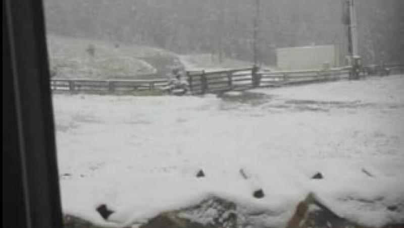 Ninge ca-n povești în România! Unde s-a instalat deja iarna, în toată regula! S-a depus zăpada! Video
