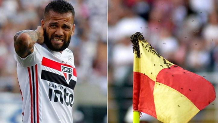 Dani Alves, atacat de un roi de viespii la meciul cu Fortaleza