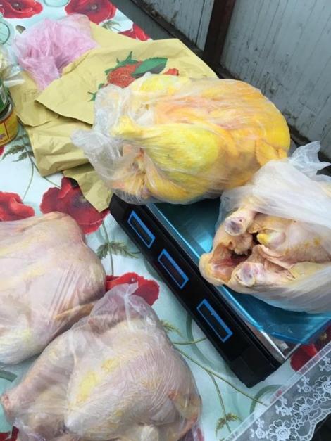 Mai mulți comercianți din Galați și-au vopsit găinile ca să pară păsări „de curte”
