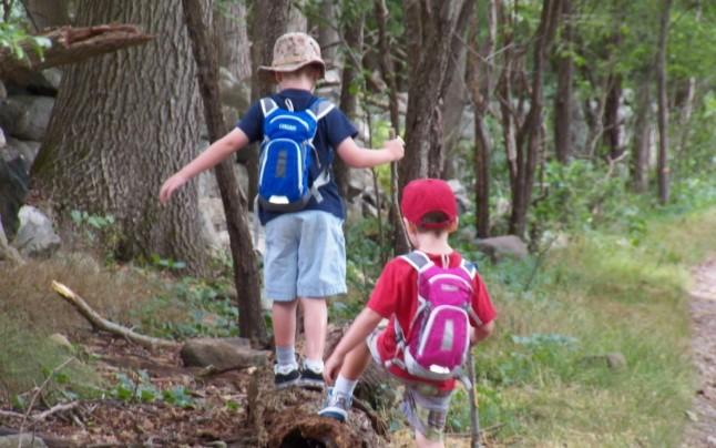 Alertă &icirc;n Bacău! Trei copii, dispăruți din casa bunicilor! Polițiștii au făcut controale &icirc;n trenurile ce au trecut prin județ