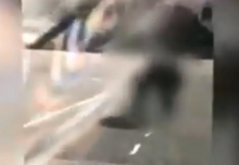 Bătaie în curtea liceului, în Bârlad! Două eleve s-au lovit cu pumnii și picioarele! Conflictul a fost filmat – Video