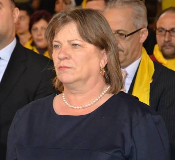 Alegeri prezidenţiale 2019 - Norica Nicolai: Dragi rom&acirc;ni, ridicaţi-vă şi mergeţi la vot