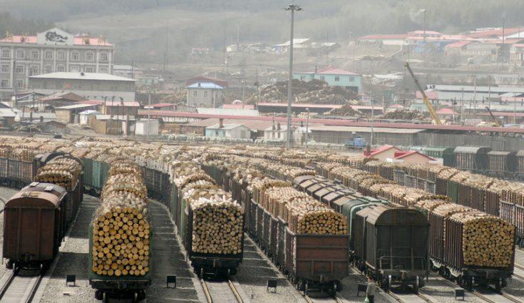 Distribuie să vadă toți unde se "duc" pădurile Rom&acirc;niei. C&acirc;t o să mai stăm cu m&acirc;inile &icirc;n s&acirc;n?