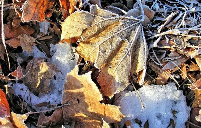 Brumar &icirc;n calendar, aer tropical afară! Temperaturi maxime și minime &icirc;n luna noiembrie