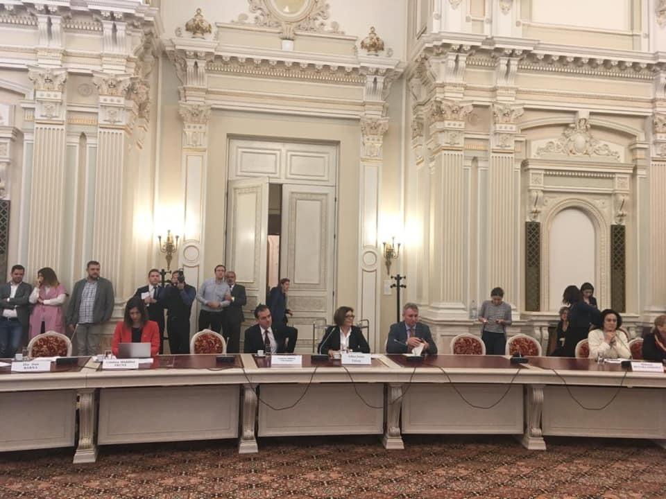 Adina Vălean: Am primit undă verde de la Parlamentul Rom&acirc;niei cu 25 de voturi &rdquo;pentru&rdquo;; tot azi, Comisia JURI a validat candidatura mea &icirc;n unanimitate