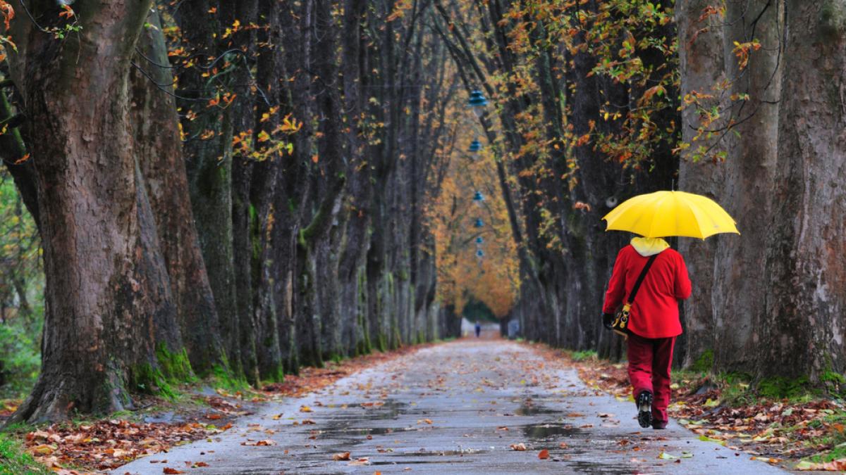 Vremea 14 noiembrie 2019. Temperaturile scad rapid și ploile se extind