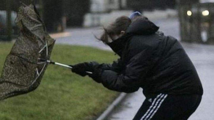 Codul roșu de v&acirc;nt devine periculos. Oamenii, sfătuiți să se adăpostească și să nu iasă din case, prin sistemul RO-Alert
