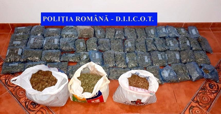 Neamţ: 110 kilograme de cannabis destinat v&acirc;nzării &icirc;n Iaşi, dar şi &icirc;n alte zone, au fost ridicate &icirc;n urma a două percheziţii