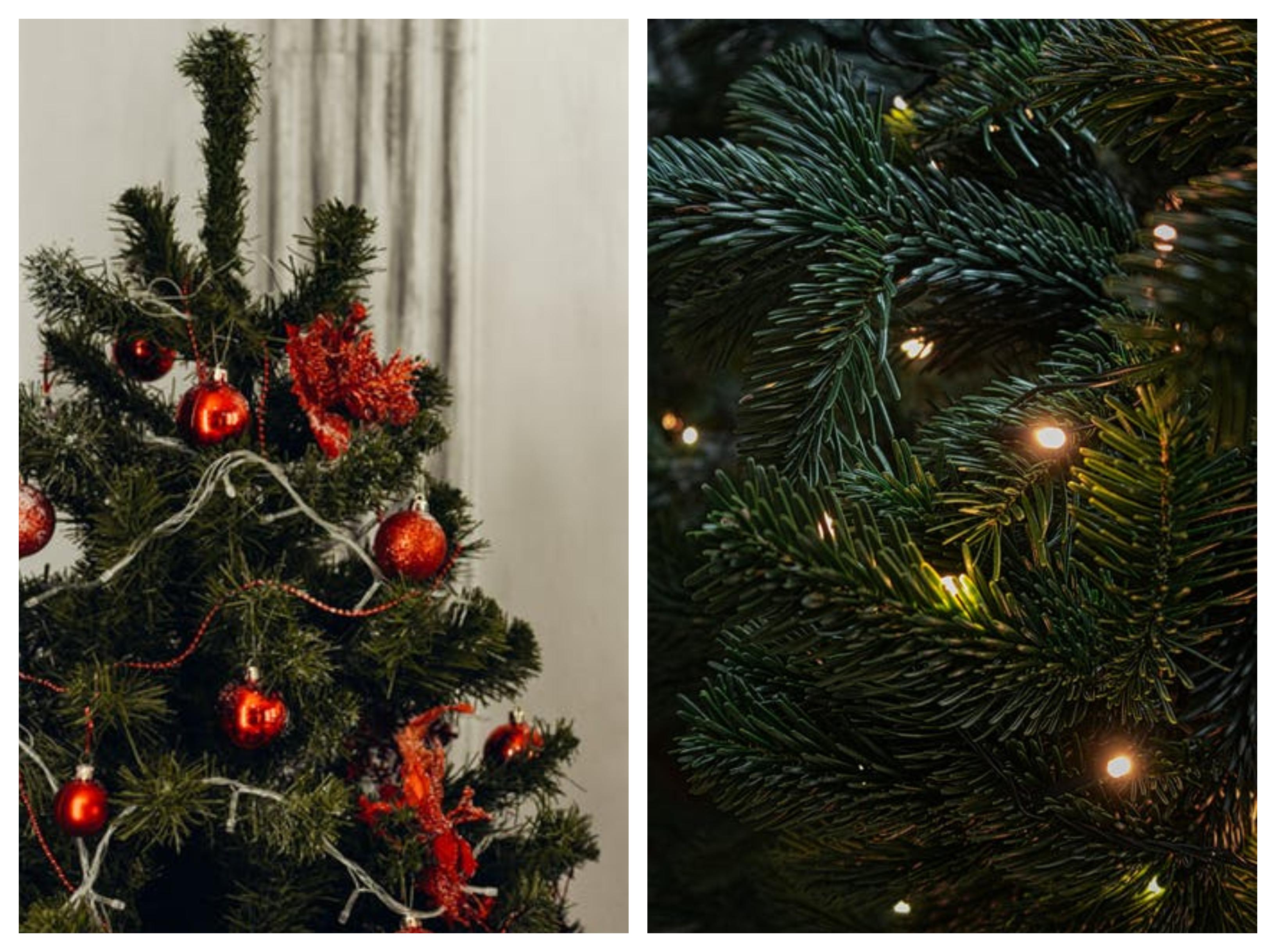 C&acirc;t costă brazii de Crăciun? Află acum prețurile de pe piață