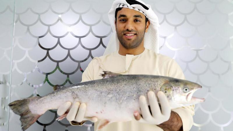 Pește somon crescut în deșertul din Dubai