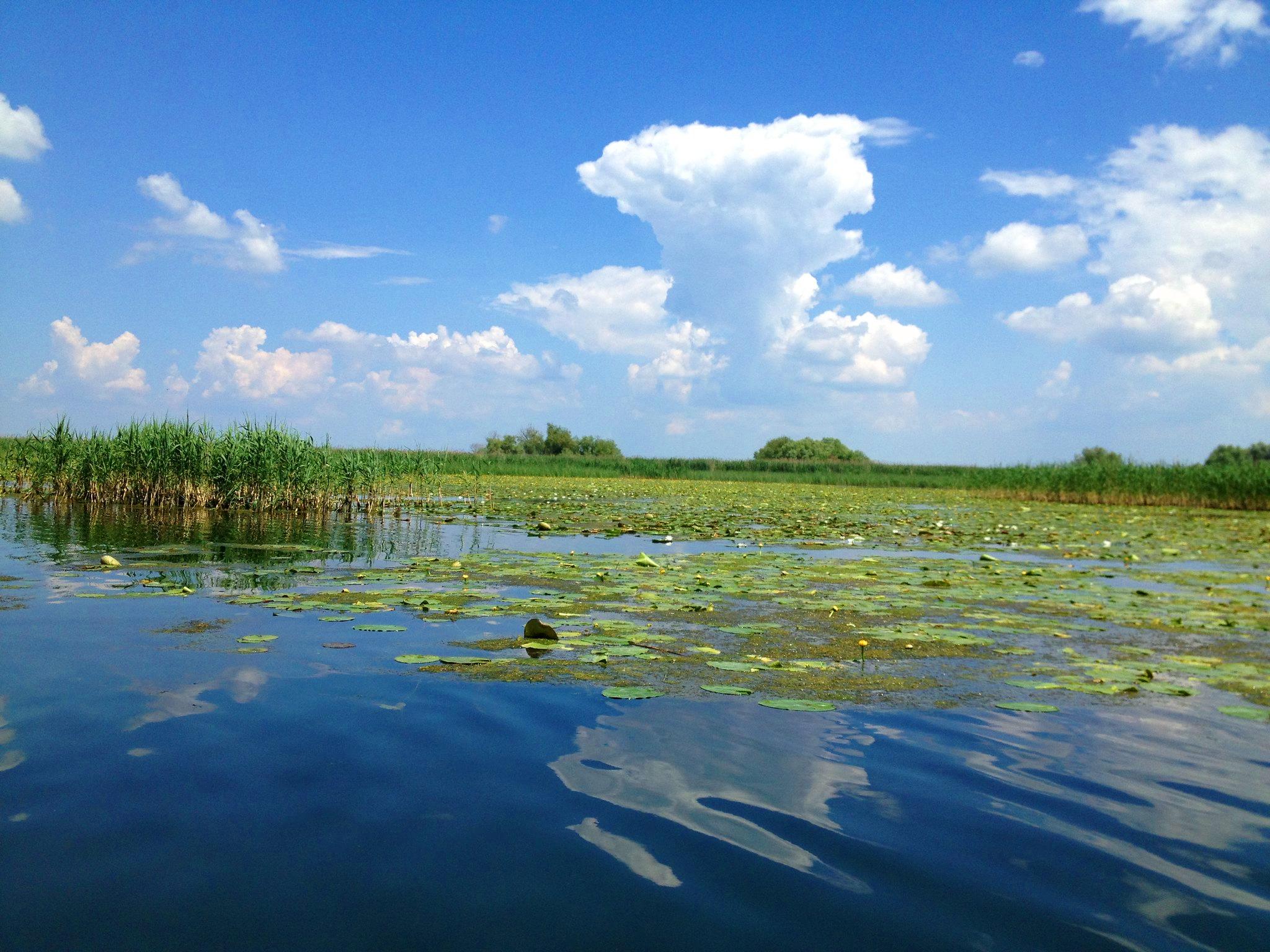 Welcome Early Booking 2020! Delta Dunării, ținutul cu o biodiversitate uimitoare