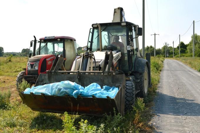 Alertă &icirc;n Covasna! Au fost găsite cadavre de porci domestici &icirc;ntr-un lac din apropiere! Ce spun autoritățile