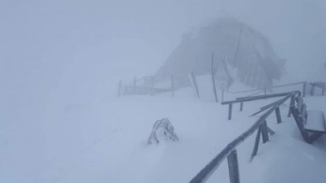 Ninge ca-n povești în România! Stratul de zăpadă ajunge deja la aproape jumătate de metru, la munte