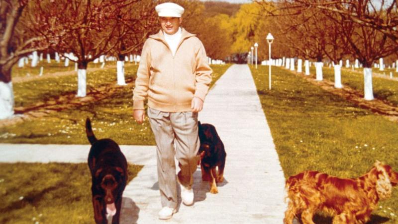 Nicolae Ceaușescu și câinii familiei