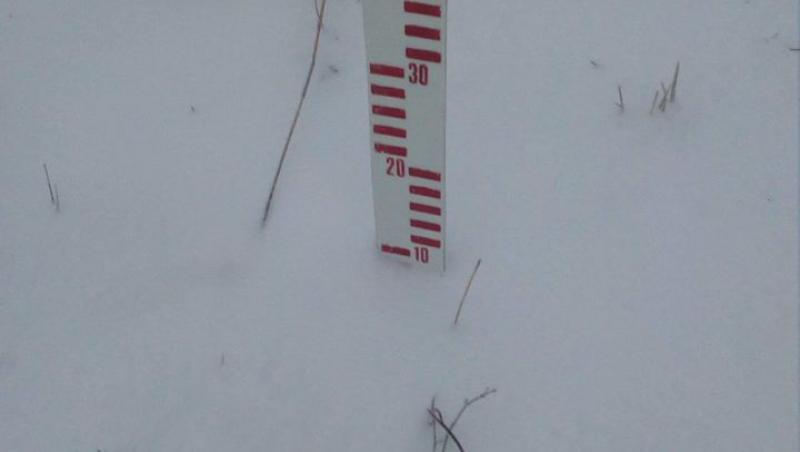 Zăpada măsoara 10 centimetri în județul Buzău
