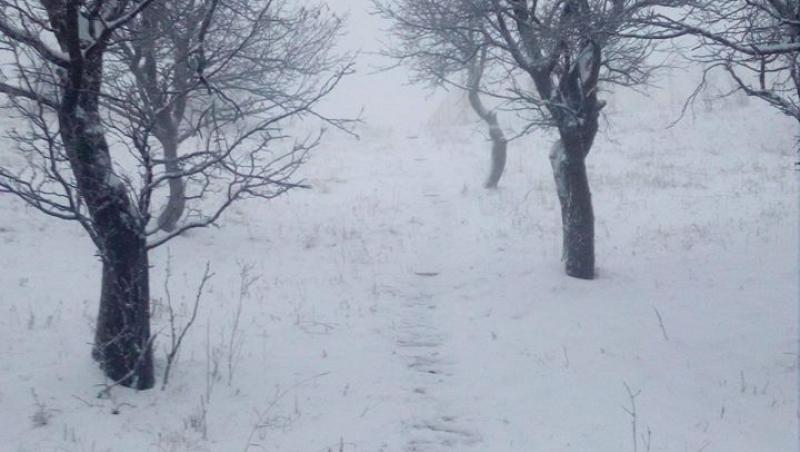 Zăpada măsoara 10 centimetri în județul Buzău
