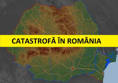 In Romania se taie 38,6 milioane de metri cubi de lemn, cu 20 de milioane peste cifrele oficiale