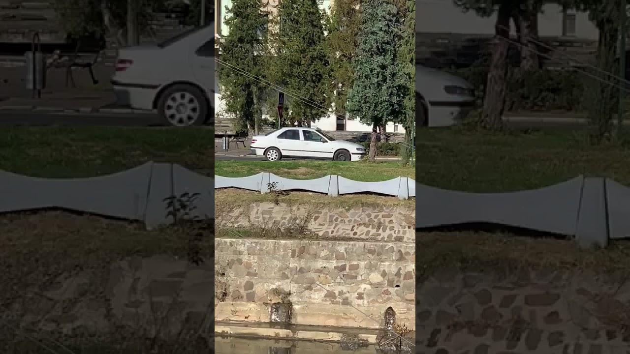 Alegeri prezidențiale 2019, Turul 2 | Momentul &icirc;n care o t&acirc;nără e răpită din fața unei secții de votare! Adolescenta a fost, pur și simplu, luată pe sus de un bărbat