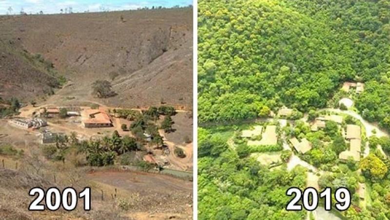 Un fotograf și soția lui au plantat 2 milioane de copaci timp de 20 de ani pentru a restabili o pădure defrișată